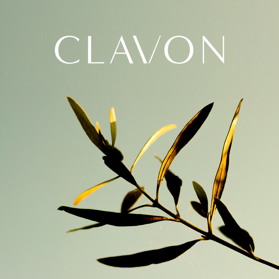 Clavon
